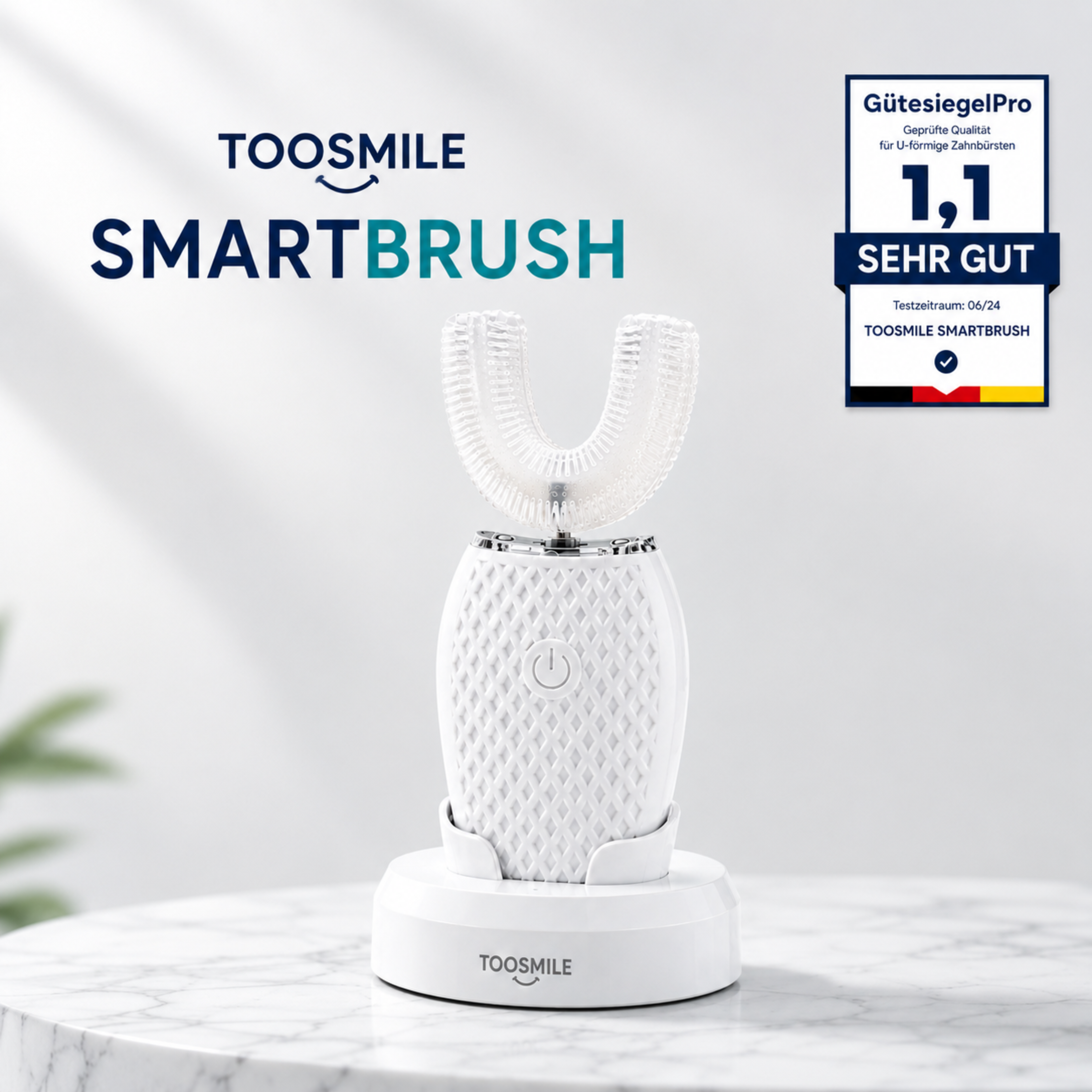 TooSmile Smartbrush